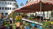 Verlegung Wochenmarkt Gera auf Zschochernplatz