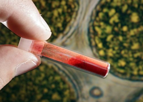 Neues Forschungsmagazin der Universität Jena 