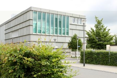 Zeugnisse für 80 Absolventen der SRH Fachhochschule 