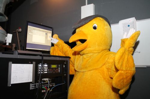 GOLDENER SPATZ 2017:  Wettbewerbsbeiträge ausgewählt