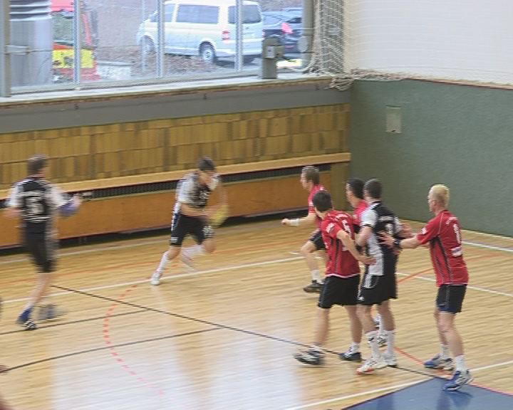 Handball-Familiensonntag im Januar