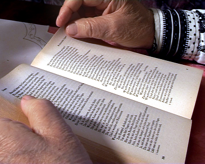 Oberbürgermeister übernahm Schirmherrschaft