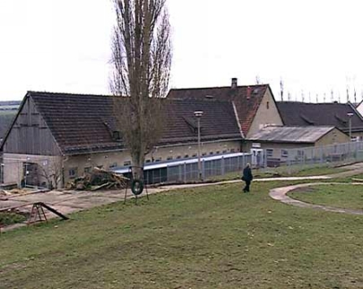 Stadt will mit Tierheim neu verhandeln