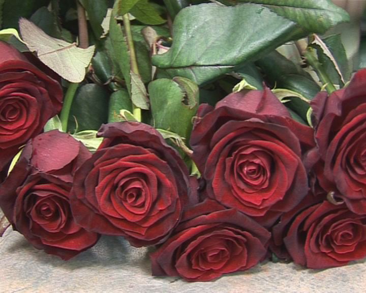 Gratulation zum 60. Hochzeitstag