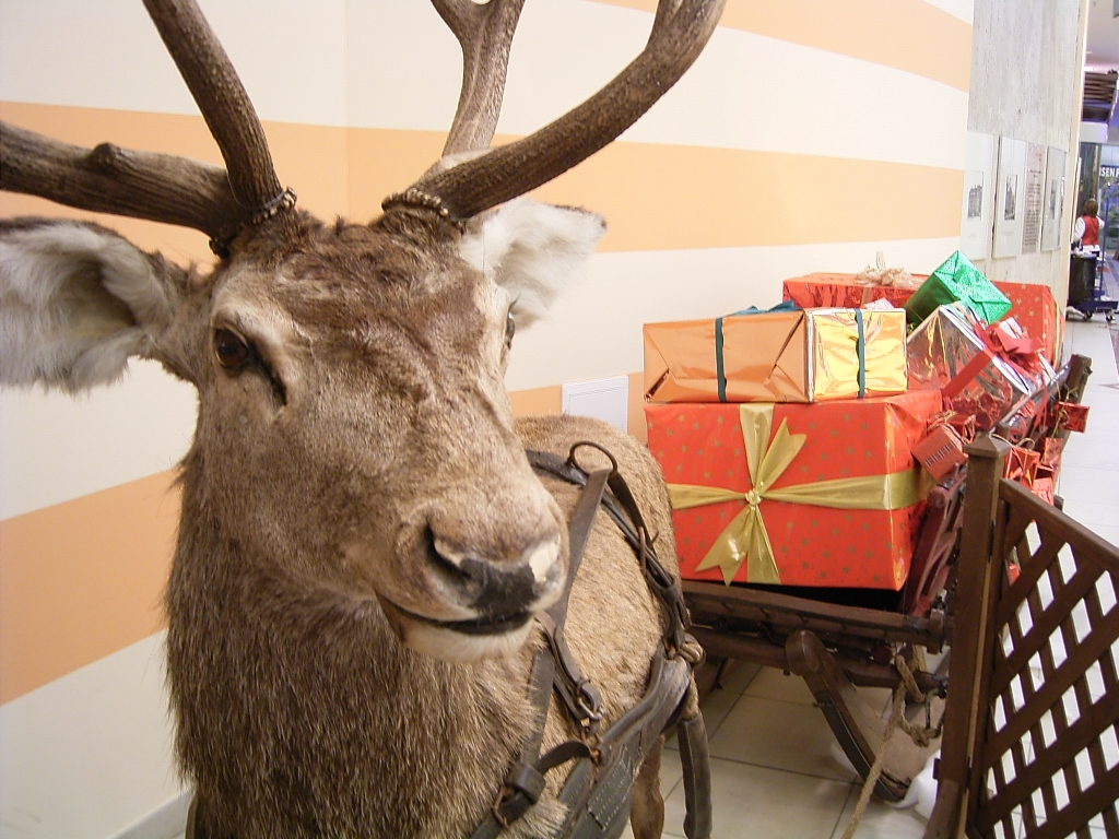 Adventsbasar in der Waldorfschule