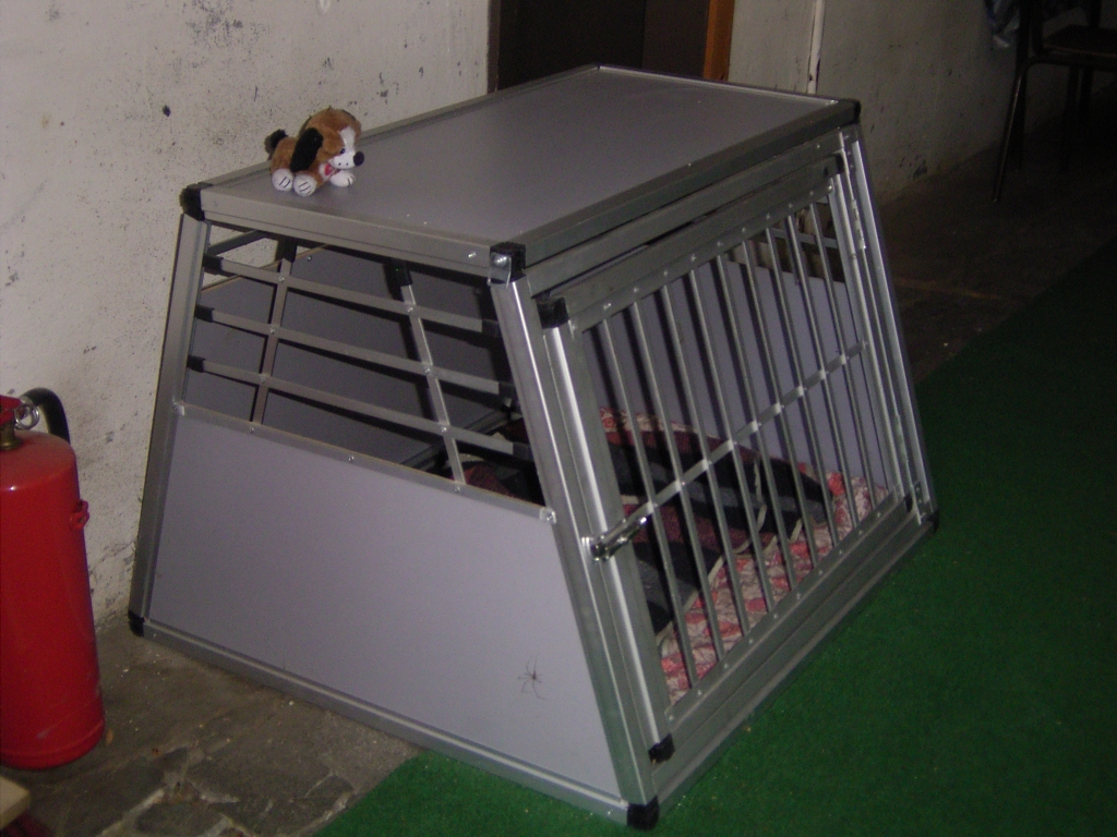 Wie weiter mit der Fundtierbetreuung?