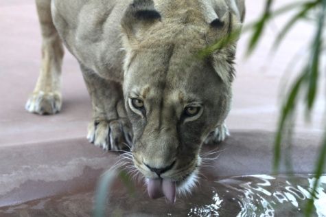 Neue Ausstellung im Stadtteilbüro Lobeda