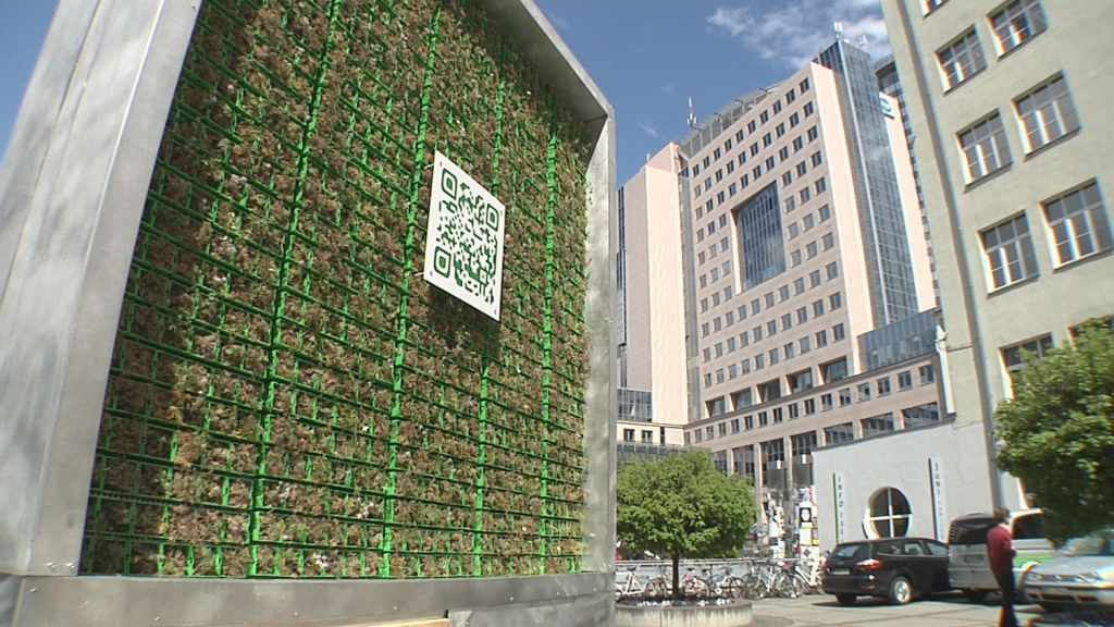 Moderne Pflanzenwand eingeweiht 