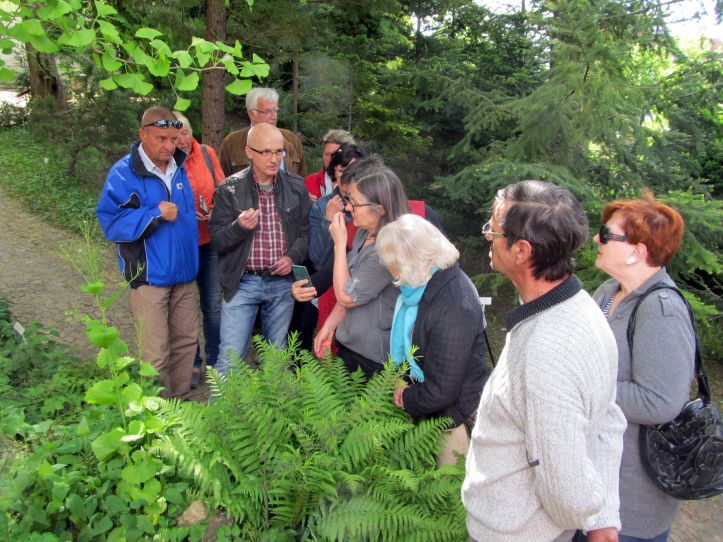 Museumstag im Museum für Naturkunde Gera