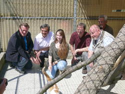 Stadt Jena erhöht Fundtierpauschale