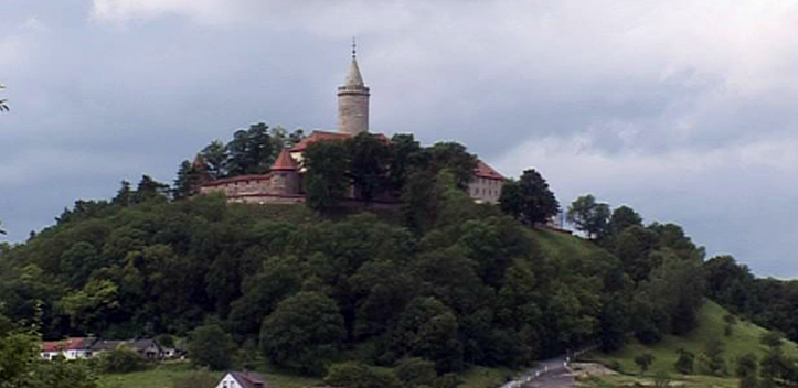 Leuchtenburg soll als Fledermausfreundlich ausgezeichnet werden