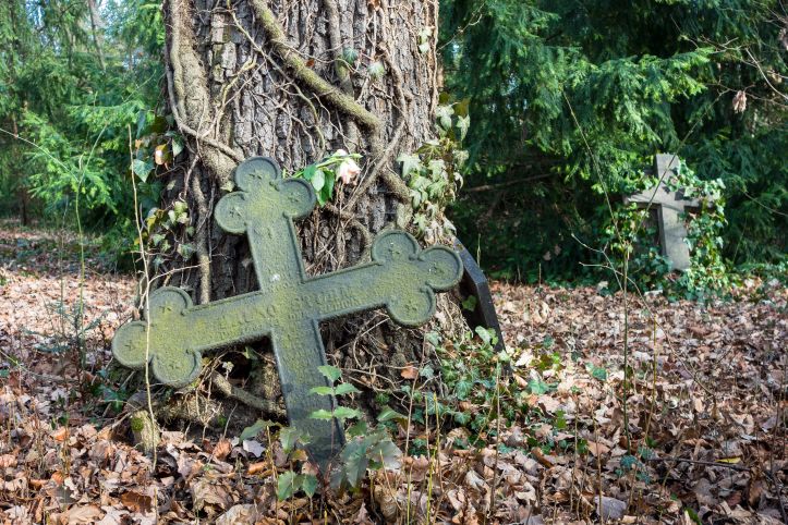 Arbeitseinsatz auf dem Johannisfriedhof 
