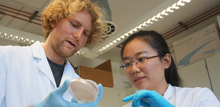 Jenaer Hans-Knöll-Institut entdeckt neue chemische Verbindungen