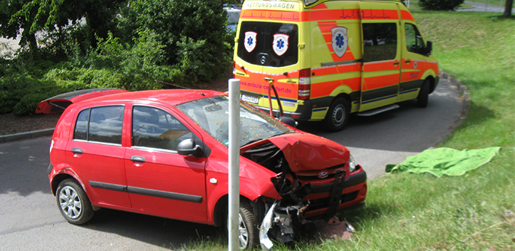 Mit Vollgas in die Hecke