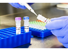 Biotech-Unternehmens oncgnostics sucht Privatinvestoren