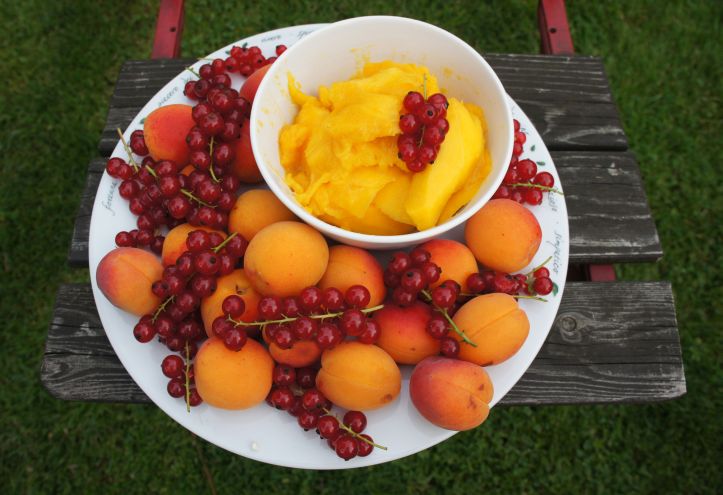 Workshop-Wochenende für Patienten mit Krebs