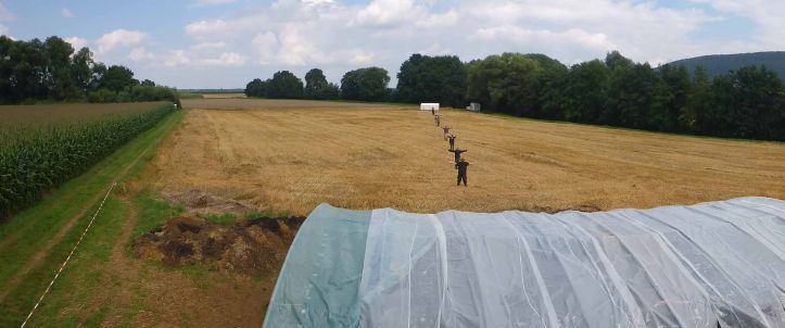 Nördlichster Teil des Karlsgrabens nachgewiesen 