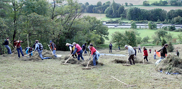 Dankeschön fürs Ehrenamt