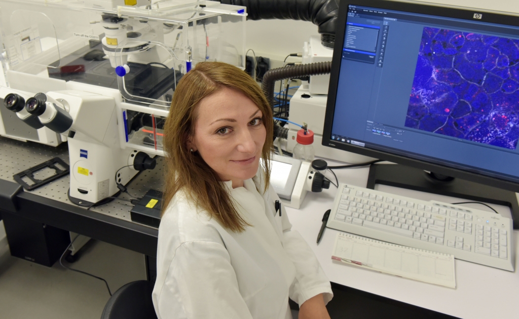 Wie Pilze zu gefährlichen Krankheitserregern werden