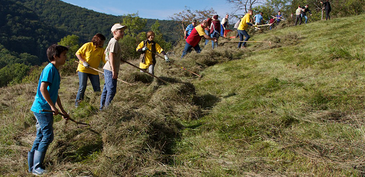 Wiesenpfelege-Einsatz im Leutratal soll nachgeholt werden
