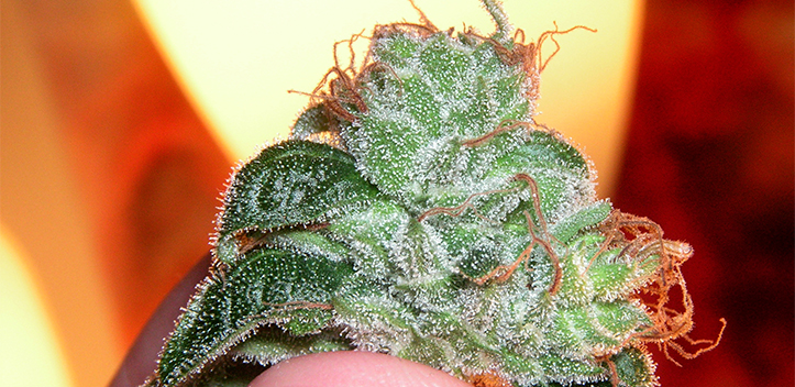 Kritik an der Umstrukturierung der Jenaer Suchthilfe