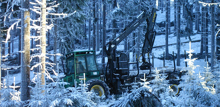Kälteeinbruch begünstigt Thüringer Holzernte