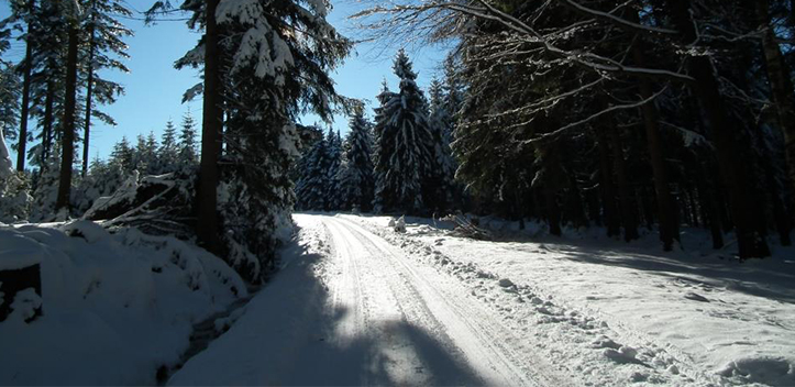Rutsch- und Glättegefahr auf Waldwegen