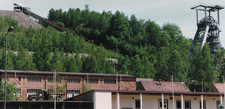 „Mineralientreff im Januar“ im Museum für Naturkunde Gera