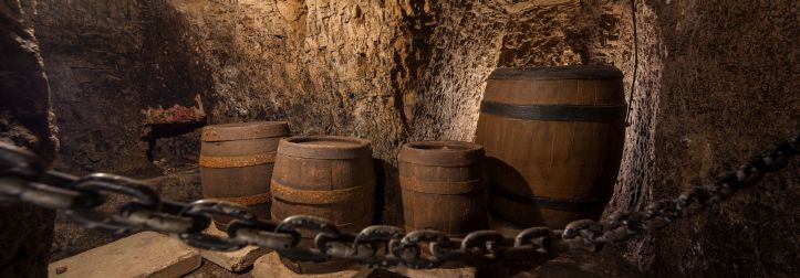 Geraer Höhler öffnen am 1. Februar