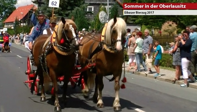Oberlausitzer kurier er sucht sie