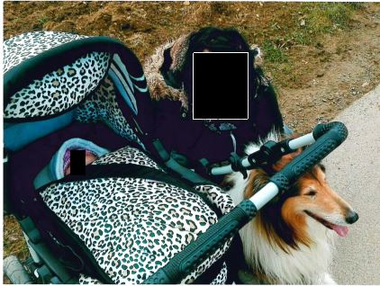 Kinderwagen in Lobeda entwendet