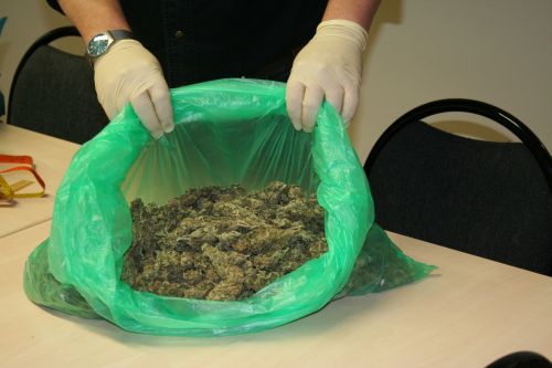 Drogen beschlagnahmt – Haftantrag gestellt   