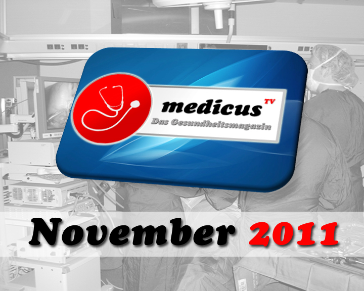 Ausgabe November 2011