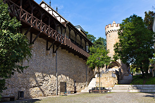 Veganes Straßenfest am Pulverturm