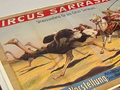 Dresdner Spuren | Zirkus-Schätze