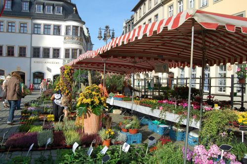 45. Gärtnermarkttage auf Geraer Marktplatz