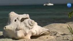 AQUA-TV April 2012 Folge 100