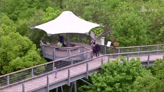 Baumkronenpfad im Nationalpark Hainich