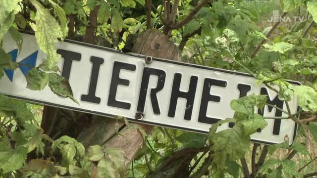 Zukunftsweisend unterwegs: Beim Tierheimfest wird auch das neue Hundehaus eingeweiht