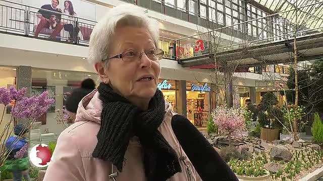 Koalitionsvertrag und Ressortverteilung: Die CDU/CSU einigte sich mit der SPD auf eine neue GroKo