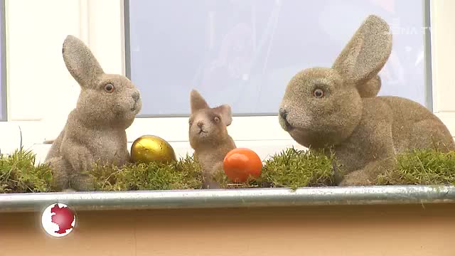 Zu Ostern: Auch in Jena ist die Tradition des Brunnenschmückens heimisch geworden