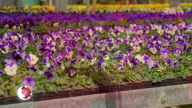 38+ Gartenanlage Am Talstein Jena Thomas Hufnagel, Interessenten an