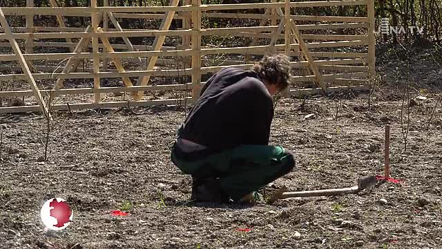 Im Forst: Auf dem ehemaligen Kasernengelände werden Renaturierungsmaßnahmen durchgeführt