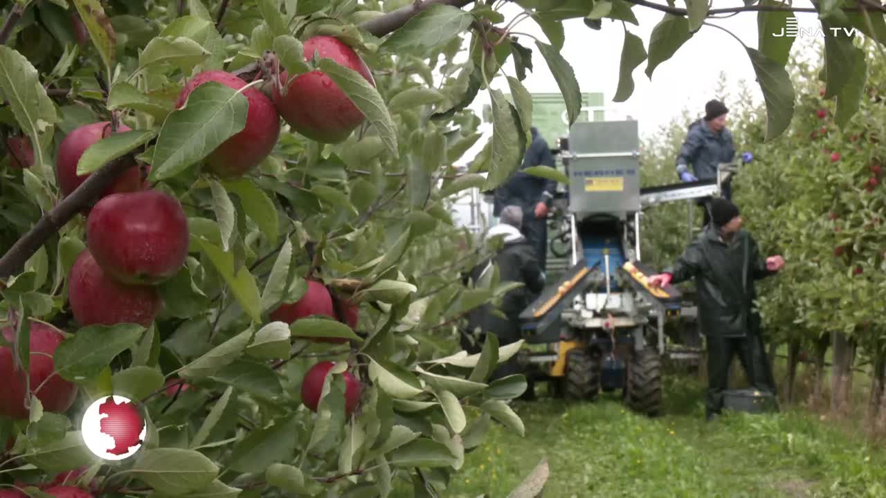 Reiche Ernte – herausforderndes Jahr für Obstbauern