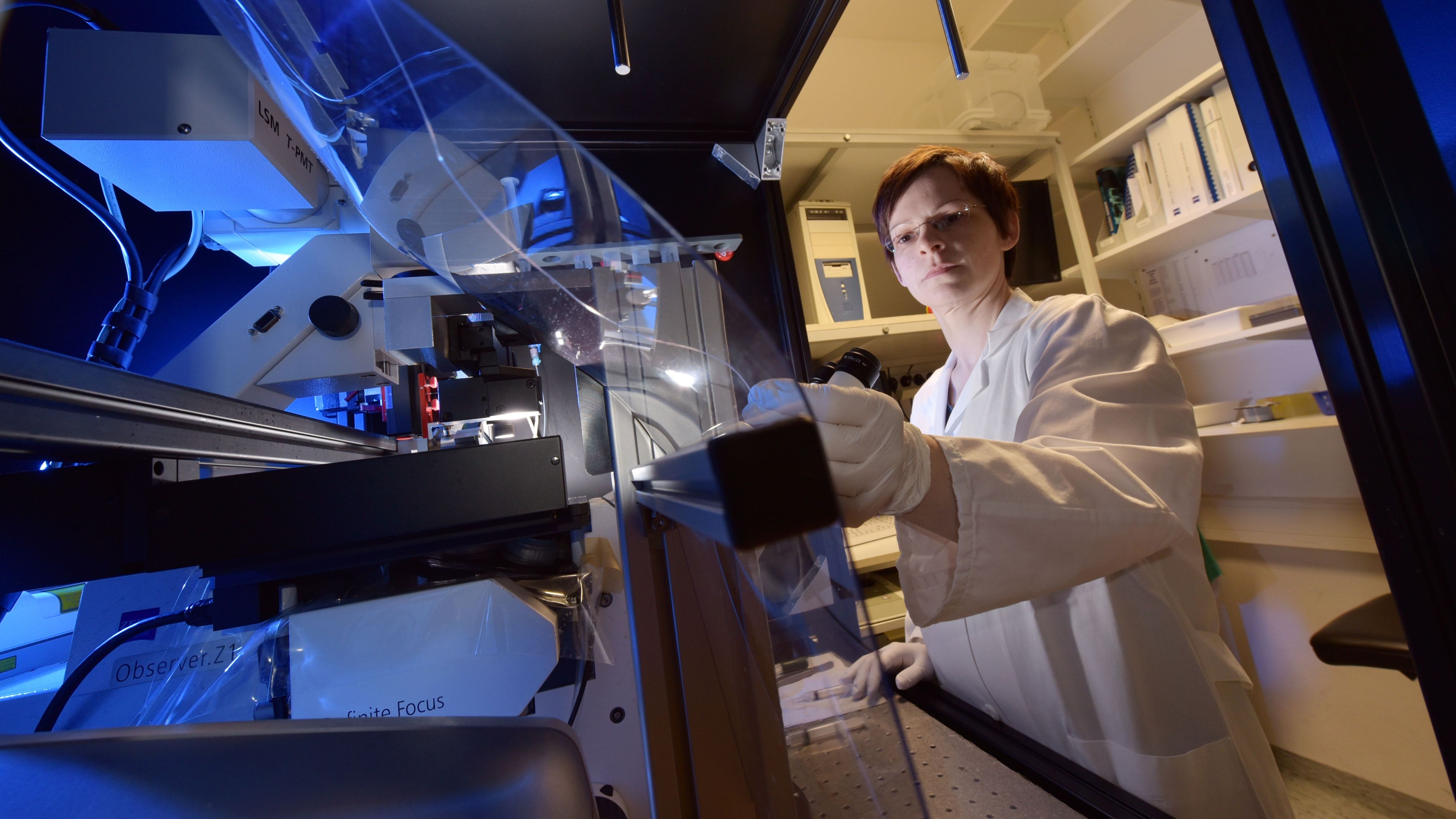 „Junge Physiologen“ tagen in Jena