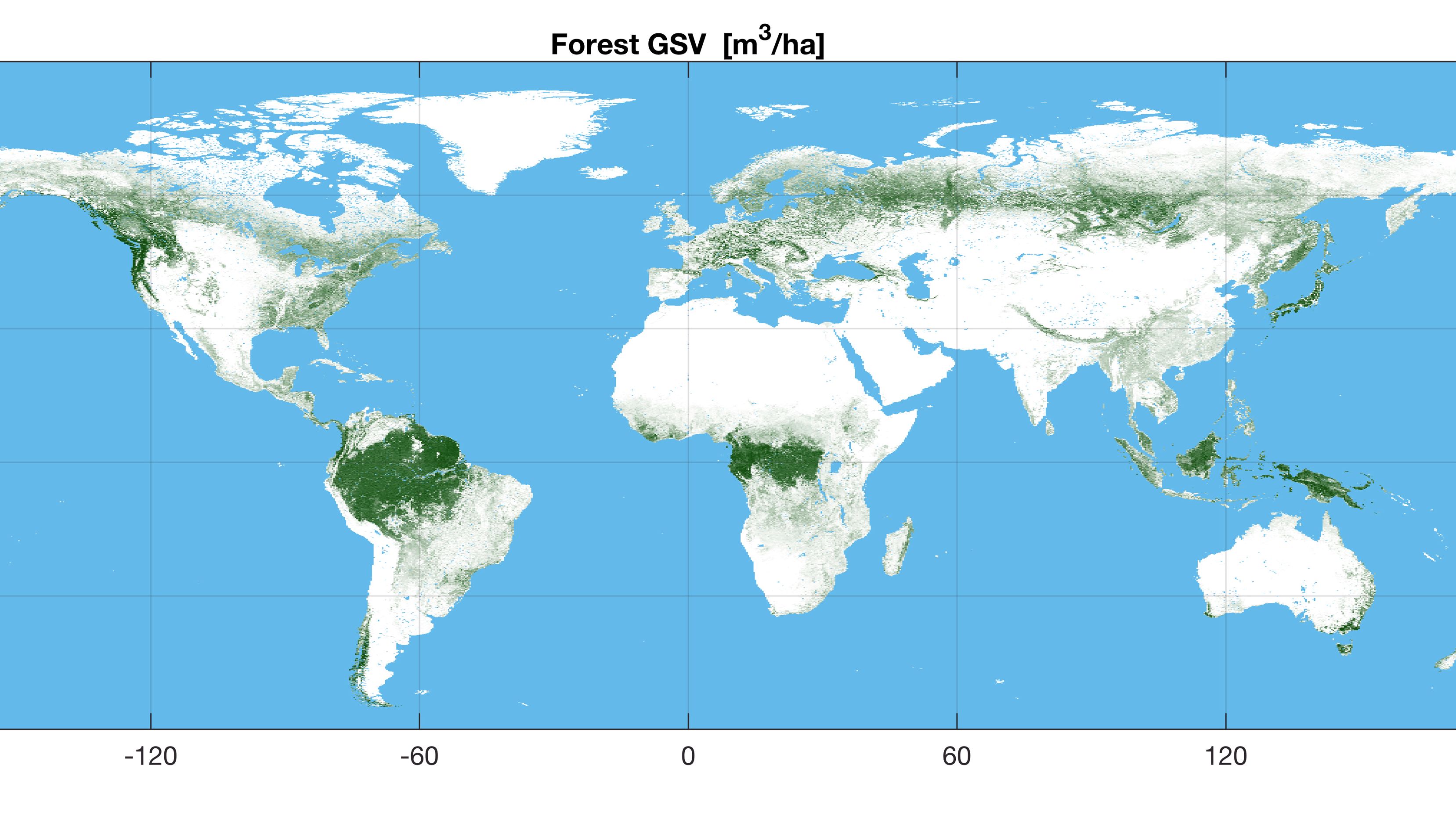 Eine detaillierte Waldkarte des blauen Planeten