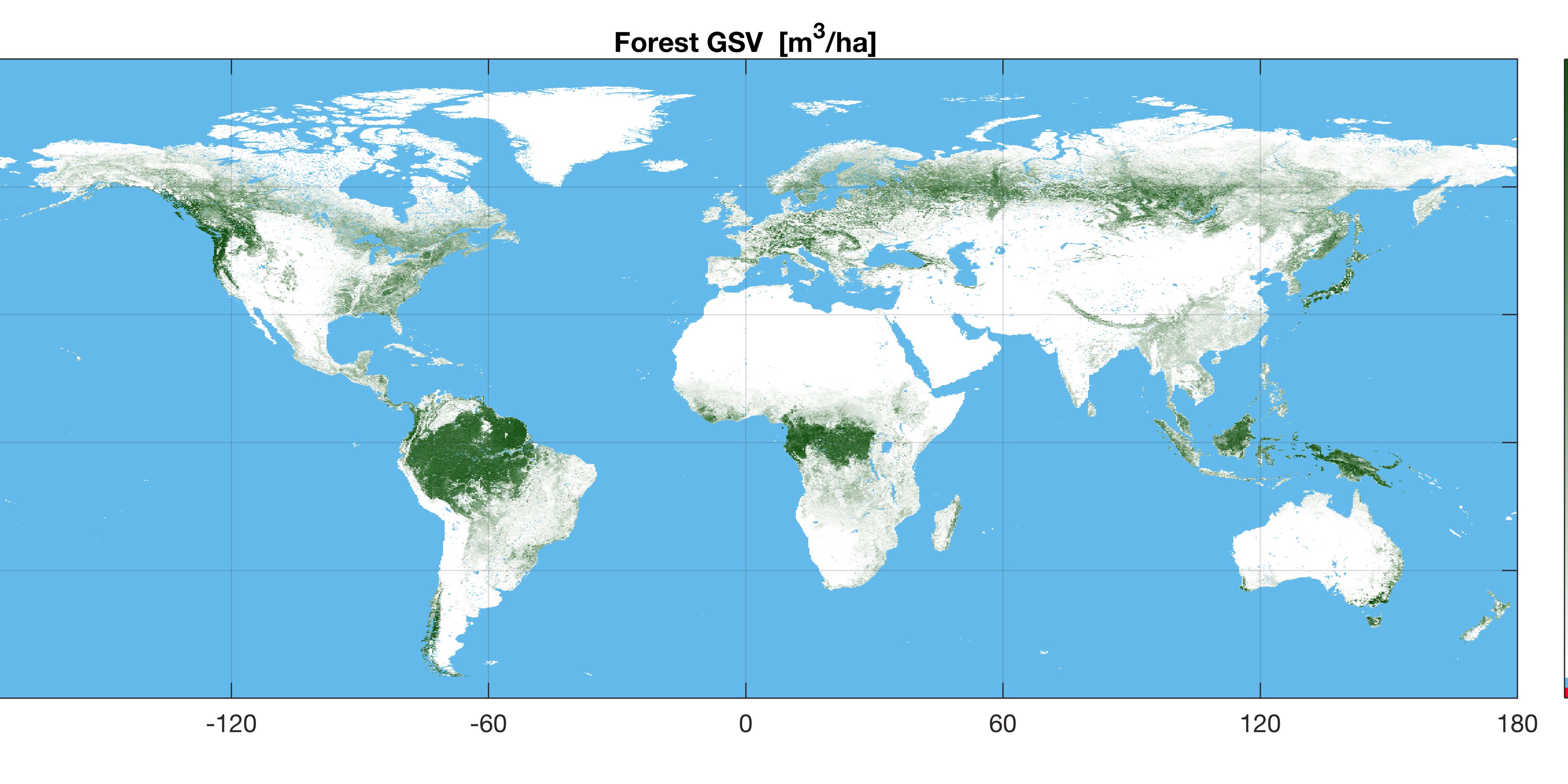 Eine detaillierte Waldkarte des blauen Planeten