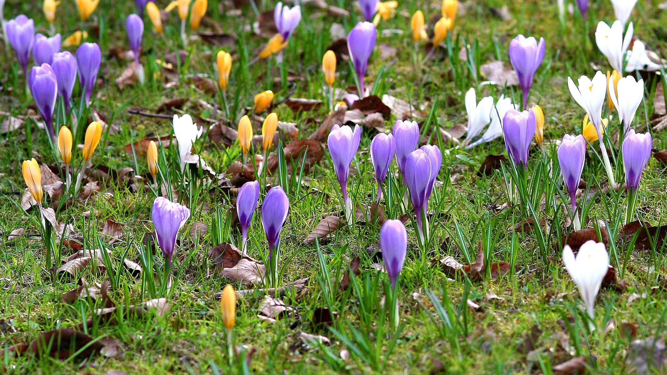 Pflanzaktion in Winzerla