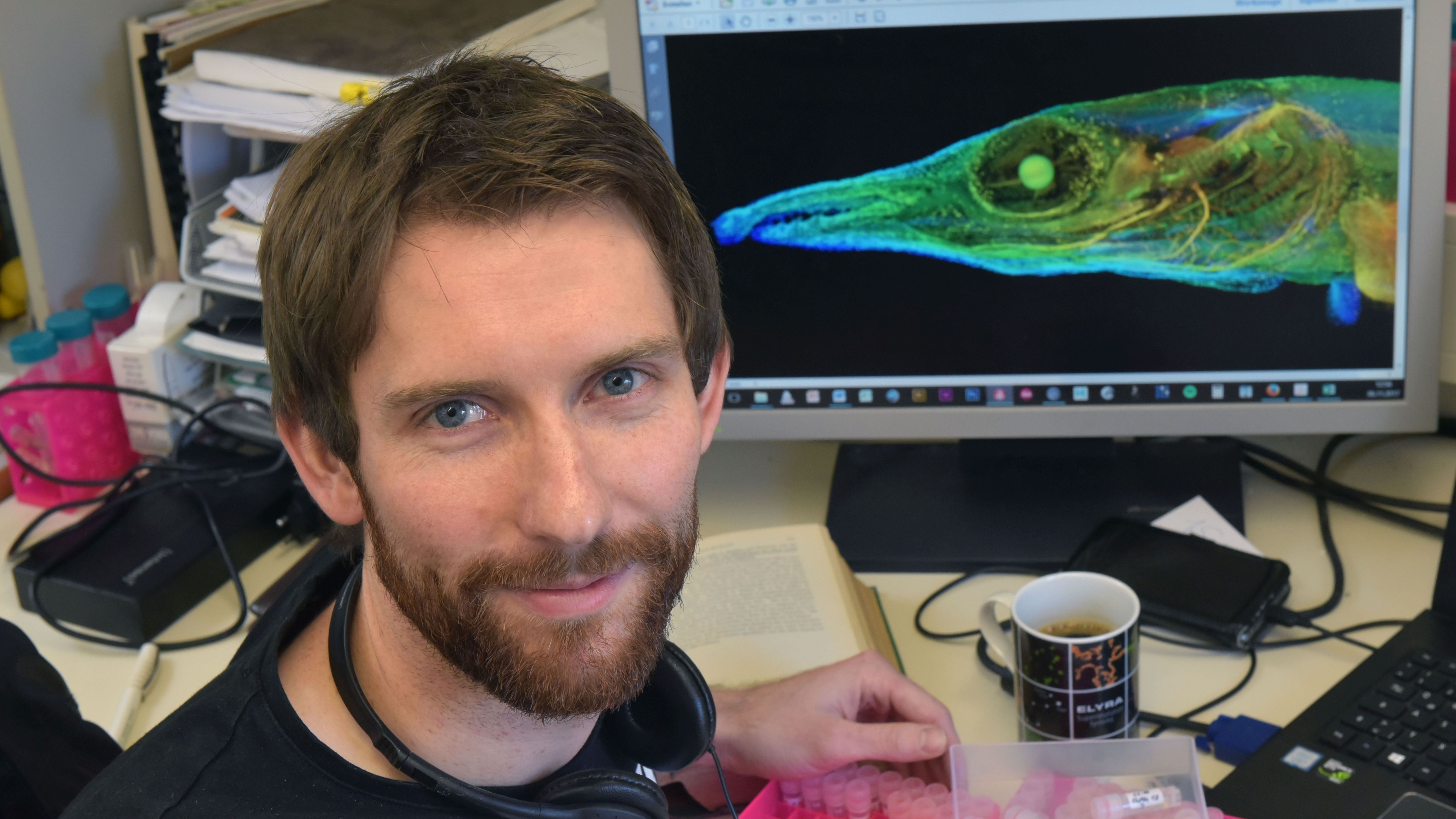 Jenaer Evolutionsbiologen identifizieren prähistorischen Fischmuskel