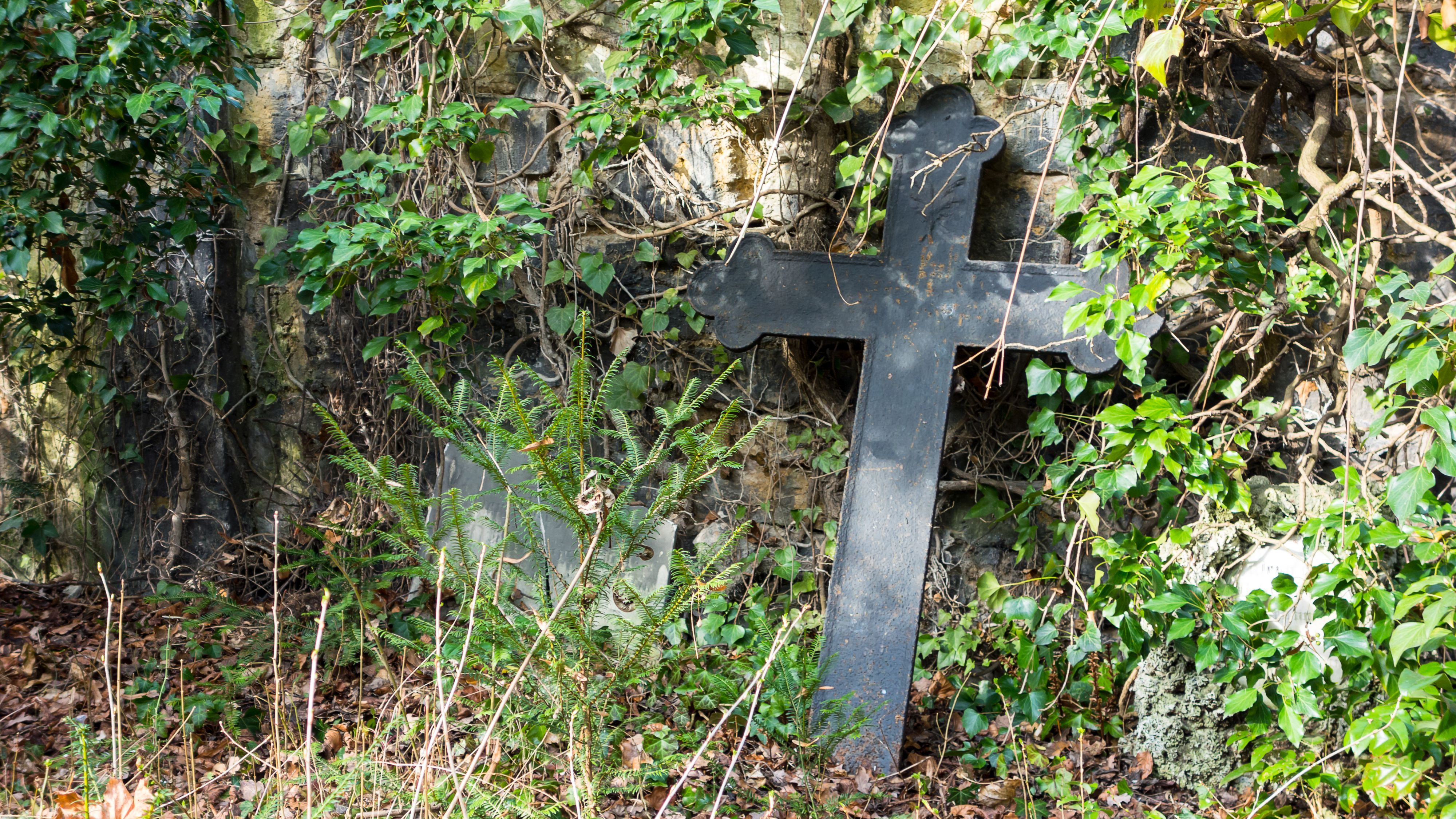 Letzter Arbeitseinsatz auf dem Johannisfriedhof